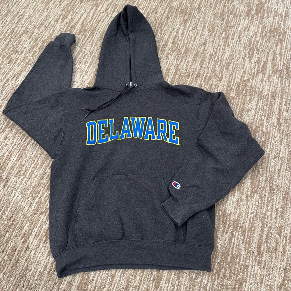 NWOT Delaware hoodie